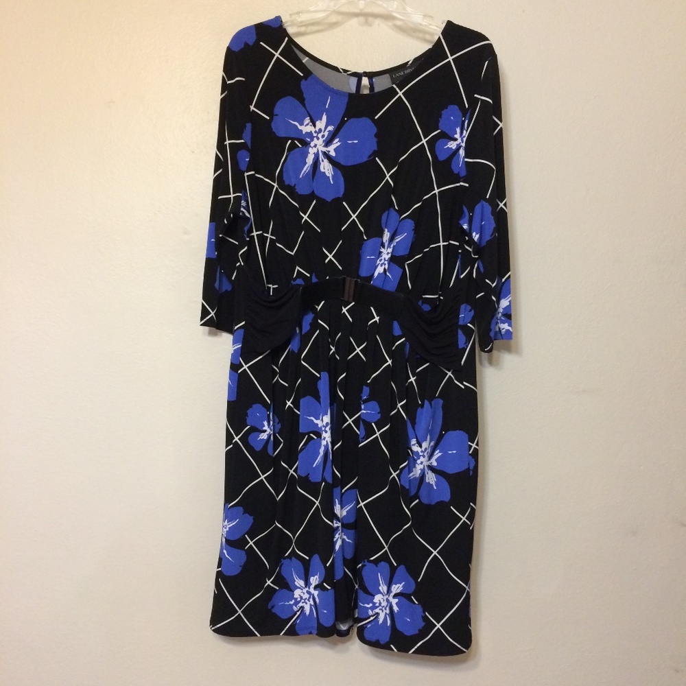 Lane Bryant Dress - Picture 1 of 8